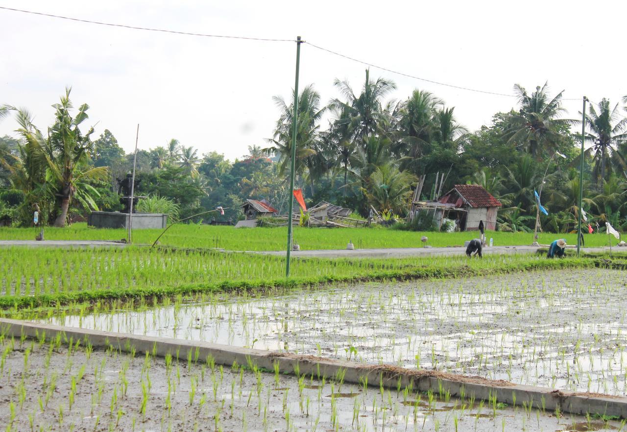 Permana Ubud Cottage Bagian luar foto